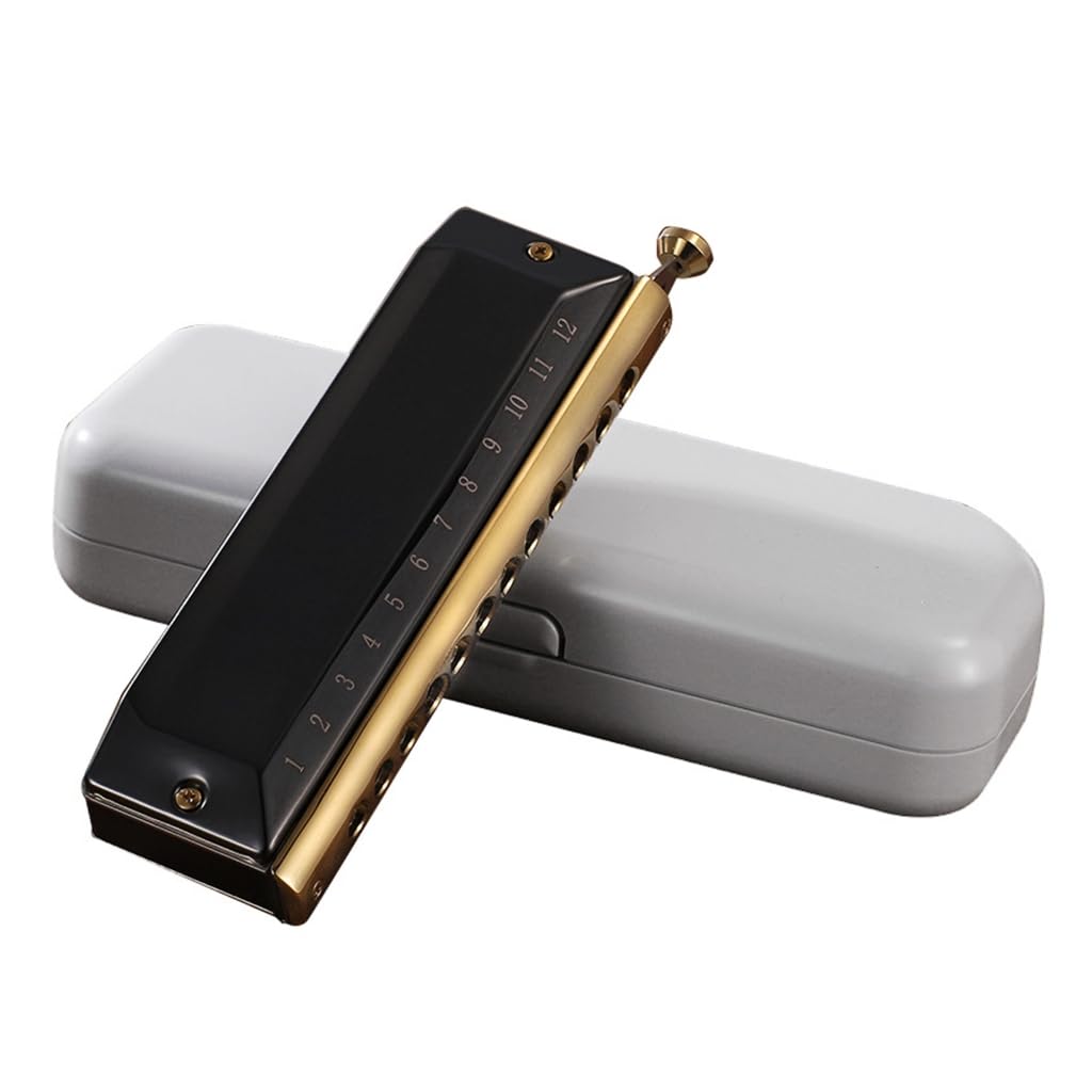 Blues Harmonica In C - Armónica diatónica de 12 agujeros, 48 tonos, órgano bucal en C, para adultos principiantes