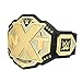 WWE Authentic Wear NXT Championship Commemorative Title Belt Gold