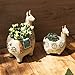LA JOLIE MUSE Ceramic Animal Succulent Planter Pots - 6.1 + 4.5 inch Cute Alpaca/Llama & Goat Rough Pottery Unglazed Desktop Flower Plant Pots Indoor, Home Decor Gifts for Mom, Green