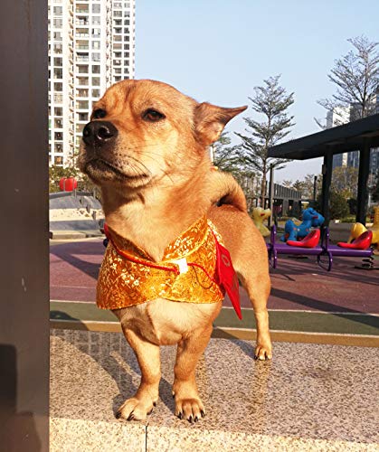 Harikaji Cat Clothes,New Year's Cloak Dog Clothes Red Pet Cheongsam Cloak Clothes For Cats Small Dogs Puppy(Gold,L) #TOP2