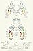 Reflexology Chart