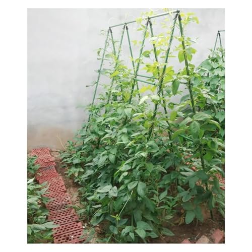 Piquets de jardin en métal pour support de plantes, treillis robuste avec attaches pour plantes grimpantes comme les concombres, haricots, framboises, courges, utilisation en extérieur