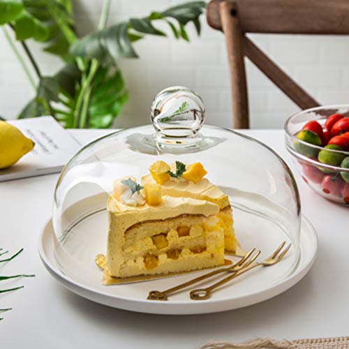 DOITOOL Kuchen Glasglocke 26 cm Kuchen Kuppel Abdeckung Staubdicht Kuchen Kuppel Abdeckung Lebensmittelplatte Deckel Kuchen Display Platte Schutzhülle -21Cm Glashaube Torte 26 cm