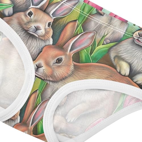 Print Toddler Underwear Floral 2t Cotton Panties for Girl Vintage Bunnies Tulips Kids Briefs Undies4