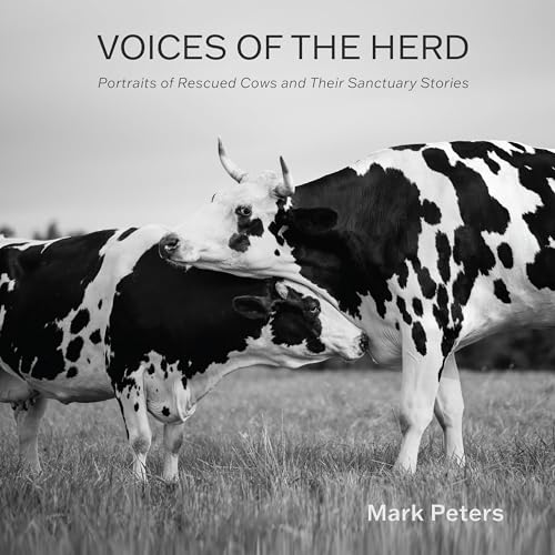 Voices of the Herd: Portraits of Rescued Cows and Their Sanctuary Stories