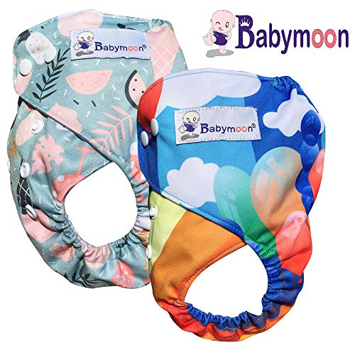 Image of Babymoon (Set of 2) Reusable Cloth Diaper, Premium Adjustable Size Waterproof Washable Pocket Cloth Diaper Nappie (Rainbow & InceCreamFires)