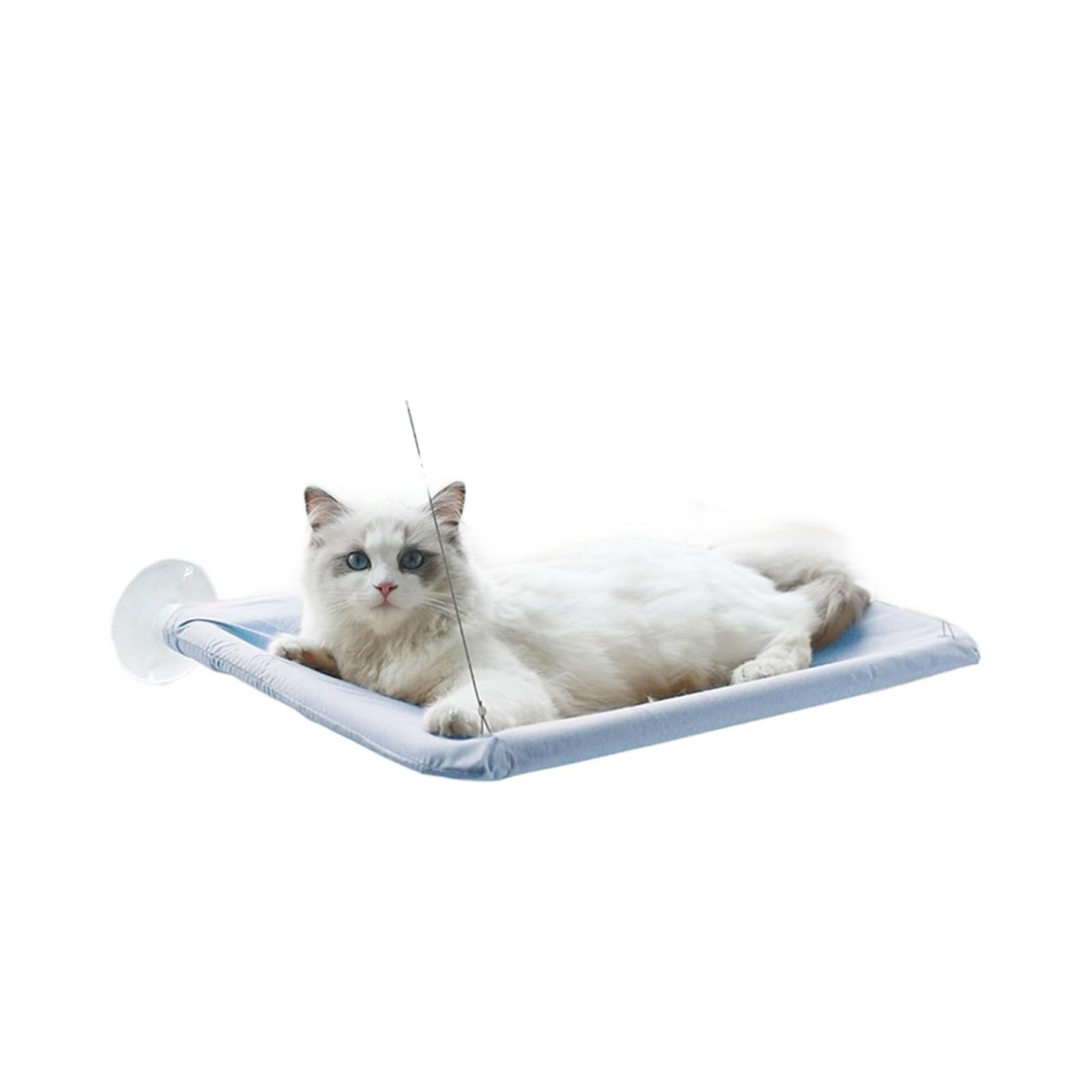 Haustier Katze Hängematte Hängen Bett Lager 20Kg Bequeme Sunny Fenster Sitz Halterung Kätzchen Klettergerüst Zubehör Stabil Komfortabel(Blue)