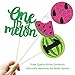One in a melon Centerpieces 12 Set Watermelon Glitter Party Table Centerpieces Sticks Summer 1st Birthday Party Decorations Watermelon Photo Prop Table Topper