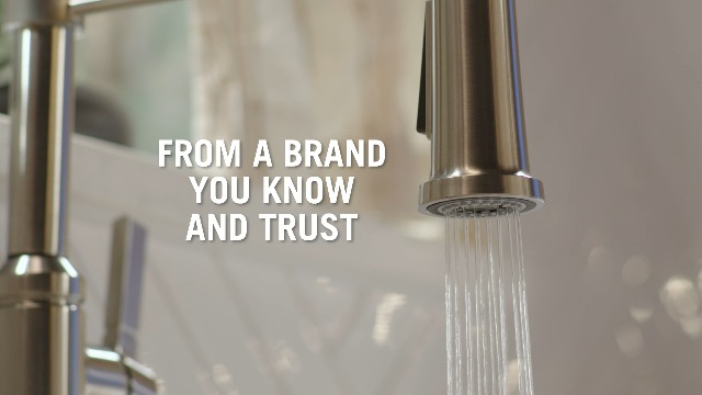 Delta Rhett Pro Style Commercial Kitchen Faucet with Pull Down