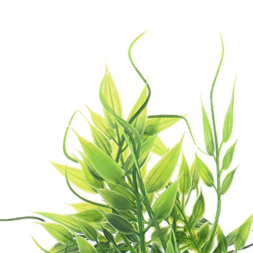 WIDEN ELECTRIC ALLARGARE Simulazione Erba