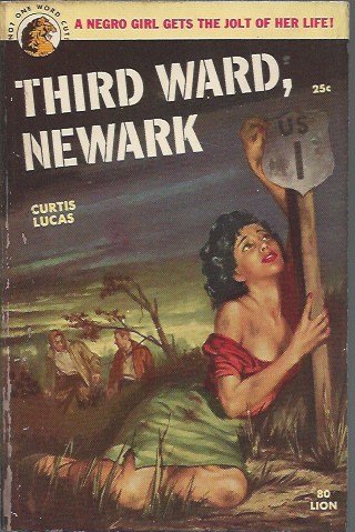 Third Ward, Newark B000H2XCE2 Book Cover