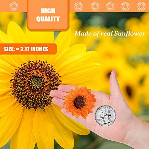 60 piezas de pequeñas flores secas prensadas de girasol naranja para manualidades miniatura 2