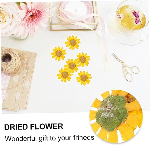 72pcs Flores Secas de Margarita para Manualidades miniatura 3