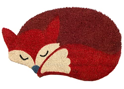 BIANCHERIAWEB Paillasson d'entrée extérieur antidérapant coco animal Fox