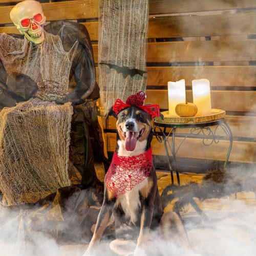 Accesorios Halloween para Perro Bandana y Diadema miniatura 6