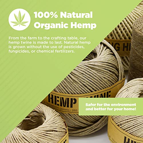 Bean Products Hemp Twine - High Tensile Strength And Durable - Made With 100% Hemp - Perfect For Jewelry, Arts & Crafts, Decoration, Cooking - 1Mm Waxed, 300G/700 Ft. - 20 Lb. Test Strength - Natural #TOP1