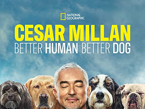 Cesar Millan: Better Human Better Dog