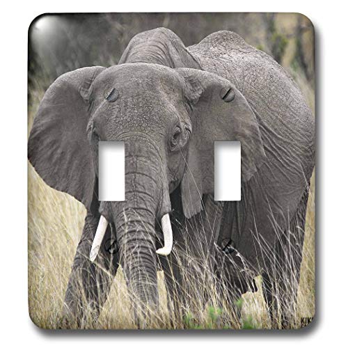 Éléphant africain double interrupteur pour mur élégant - 2