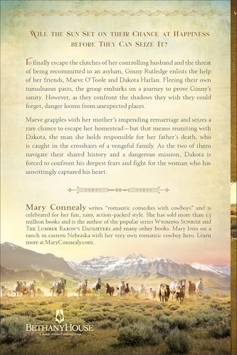 Into the Sunset: (A Historical Western Romance Set in 1800's Cheyenne, Wyoming) (A Western Light) - Image 2