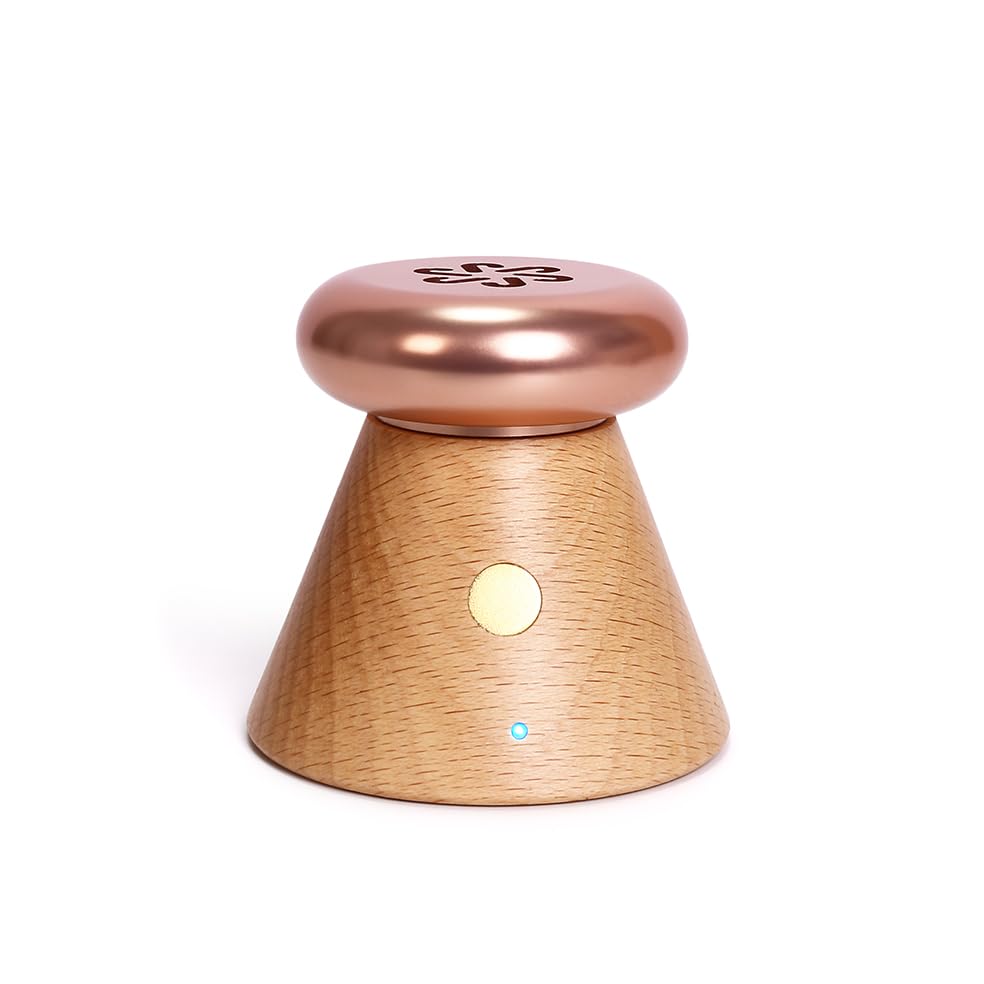 Difusor portátil de aceites esenciales madera pequeño miniatura 1