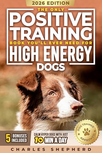 How to approach a dog How to approach a dog