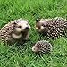 Gemini&Genius Hedgehog Animal Toys for Kids, Jungle Hedgehog Family Animal Toys, Forest Animals Figures Length Size for Kids Play, Cake Toppers, Party Favors, Flowerpot Plant Decors