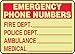 Accuform MLFE538GF Lumi-Glow Flex Adhesive Sign, Legend"Emergency Phone Numbers FIRE DEPT_ Police DEPT_", 7" Height, 7" Length x 10" Width x 0.010" Thickness, Vinyl, Red/Glow