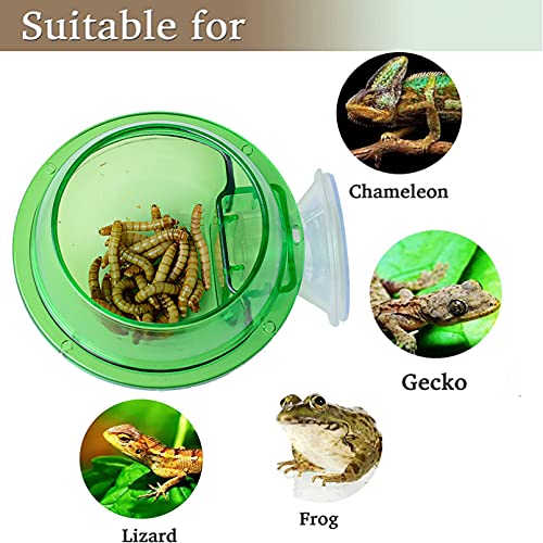 Tfwadmx Chameleon Bowl, Reptile Feeding Feeder,Worm Live Fodder Container, Water Dish Gecko Ledge Suction Cup Feeder… - Image 7