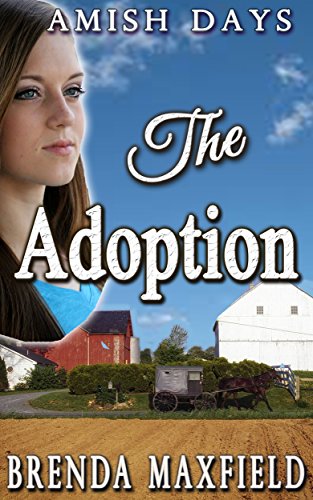The Adoption (Faith's Story Book 1)