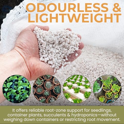 Pure Harvest Perlite – 100L Premium Natural Growing Medium For Soil Aeration & Drainage. Promotes Root Health & Plant Growth. Derived From Expanded Volcanic Rock. Lightweight, Odourless & Dust Free - 6