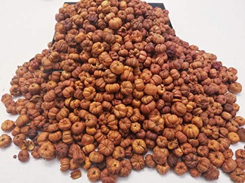 Little Valley Large 1 Lb. Bag Of Harvest Scented Putka Pods, Mini Pumpkins - Perfect As Potpourri, Craft, Bowl Filler, Decoration - Fall Or Autumn Must Have #TOP7