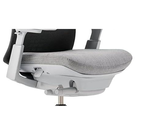 Amazon.com: Haworth Fern Ergonomic Office Chair with Lumbar