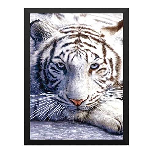 ǂ̊G ՃArmVxA쐶̑傫ȔL̊̏ёʐ^ |X^[  ؘgt̊i Ǌ| \t@̔wiG 33x24cm