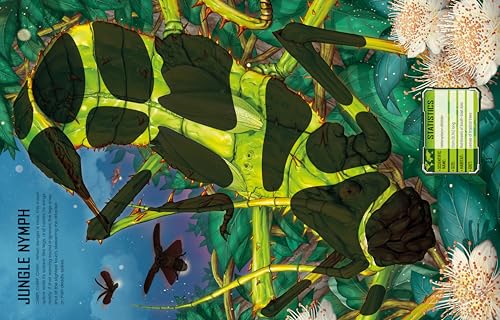 Build Your own Giant Bugs Sticker Book: Build and Customize Massive Creepy-Crawlies in this Interactive Sticker Book (Build Your Own Sticker Book) - Image 4