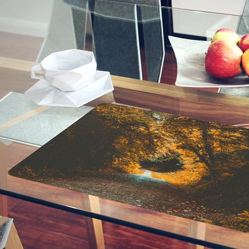 Sets de table en liège grand format avec paysage naturel de forêt pour table de cuisine moderne