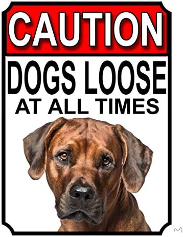 ALL BREEDS - BEWARE DOGS LOOSE AT ALL TIMES METAL SIGN GERMAN SHEPHERD 200MM X 150MM (998H1)