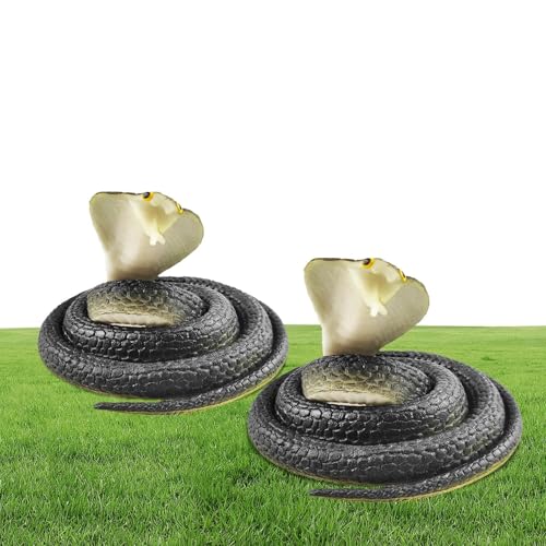 Serpiente Broma - 2 Piezas Realistas De Miedo,Juguetes En Forma De Serpiente Para Niños - Para Cumpleaños Día de los Niños Peces de Abril Casa Dormitorio Aula Jardín Serpiente Broma - 2 Piezas Realistas De Miedo,Juguetes En Forma De Serpiente Para Niños - Para Cumpleaños Día de los Niños Peces de Abril Casa Dormitorio Aula Jardín