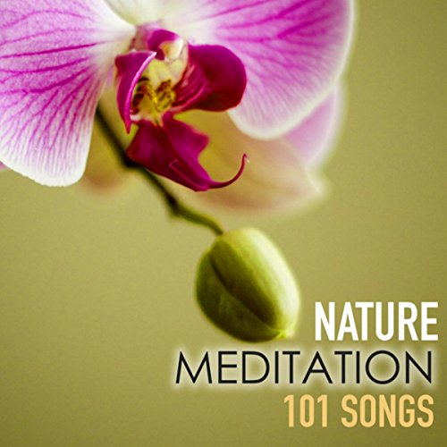 Image showcasing Amazon.com: Nature Meditation 101 - Relaxing Serenity Spa Music of ...