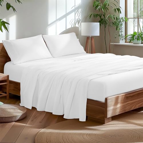 AiAngu Egyptian Cotton Queen Sheet Set (4-Piece)