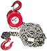 Milwaukee 9681-20 Hoist 5 Ton Hand 20Ft,
