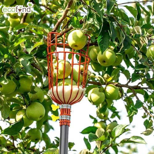 Image of ecofynd Fruit Picker Tool with Adjustable Pole Fixing Clamp, Metal Frame Basket for Mango, Apple, Lemon & Orange, Lightweight Fruit Harvester for Safe Fruit Picking from Trees, Garden & Farm (Orange)