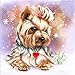 Produktbild Sunnay Diamond Painting Set,Hund Full DIY 5D Diamant Painting Crystal Strass Stickerei, Vollbohrer Art Groß Bilder Diamonds Malerei,30 x 30 cm