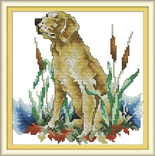 Broderie Point de Croix Labrador : Cadeau Créatif Idéal pour Passionné