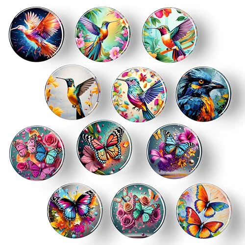Rangoli 35mm Beautiful Birds and Butterfly 3D Glass Fridge Magnets for Home Decoration Sticking Notes and Gifting (Pack of 12)