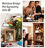 Rainbow Bridge Pet Memorial Gifts for Dogs Memorial Gifts for Loss of Dog Sympathy Gift Pet Loss Bereavement Remembrance Memory Ornaments for Dog Lovers in Memory of Pet Passing Away Window Hanging #4