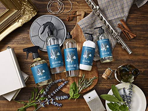 Caldrea Multi-Surface Countertop Spray Cleaner, Made With Vegetable Protein Extract, Basil Blue Sage, 16 Fl Oz #TOP4