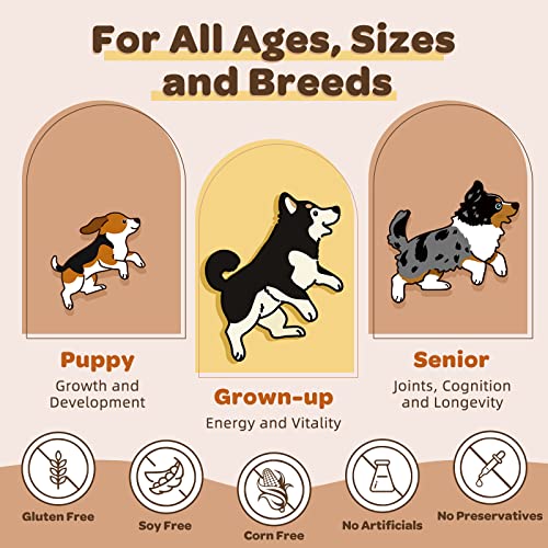 Daily Dog Vitamins For Overall Wellness, With Glucosamine & Probiotics For Dogs, Support Digestion, Joint, Skin, Energy For Small & Senior Dogs, Vitamin B, Minerals And Antioxidants For Immune Health #TOP4