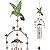 Wind Chimes - Hummingbird Wind Chimes for Outside Deep Tone 34 inches 5 Aluminum Tubes, Birthday Anniversary Memorial Hummingbird Gifts for Mom, Grandma, Decorations for Home, Garden, Patio, Backyard