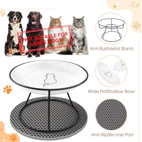 FoiiLiio Raised Cat Bowl, Pack of 2, Raised Feeding Bowl, Cat Ceramic Cat Bowl, Raised 10 cm Cat Bowls for Food, Water with Metal Stand, Black Feeding Bowl, Cats with Bowl Mat, Silicone