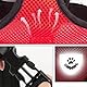 Geschirr und Leine für Hunde und Katzen, verstellbar, aus Nylon, Zuggurt für kleine Haustiere